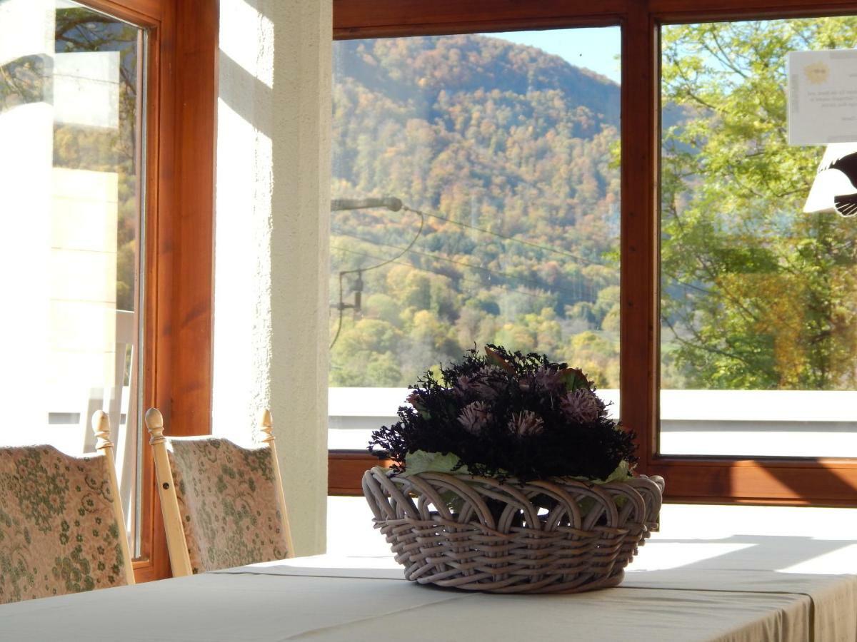 Free Apartment - Bei Den Thermen Bad Urach Eksteriør bilde