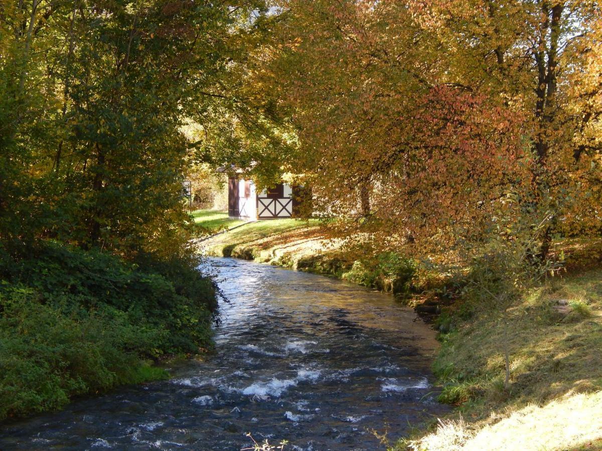 Free Apartment - Bei Den Thermen Bad Urach Eksteriør bilde