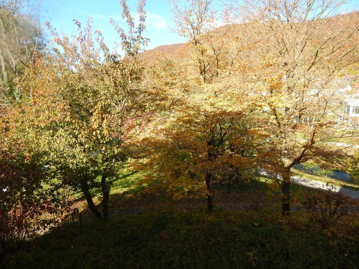 Free Apartment - Bei Den Thermen Bad Urach Eksteriør bilde